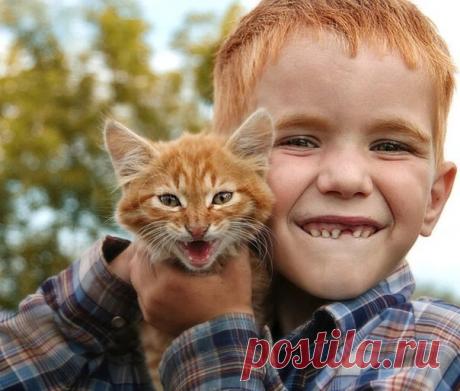 Я хочу домой - медиаплатформа МирТесен