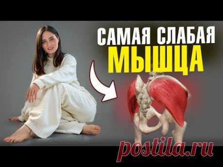 (9) ПЕРЕКОС ТАЗА, БОЛЬ в ПОЯСНИЦЕ, КОКСАРТРОЗ — всё из-за слабости ЭТОЙ мышцы - YouTube