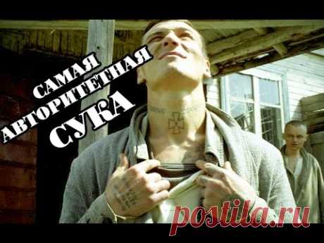Сука, порешившая самое большое количество воров в законе