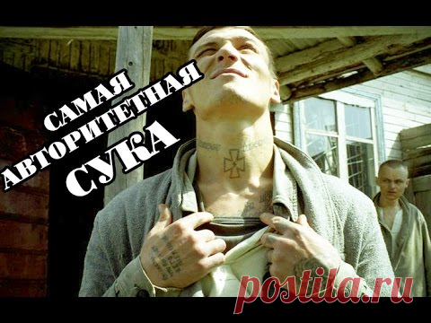 Сука, порешившая самое большое количество воров в законе