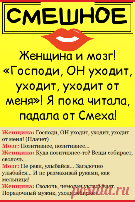 Женщина и мозг! «Господи, ОН уходит, уходит, уходит от меня»! Я пока читала, падала от Смеха!