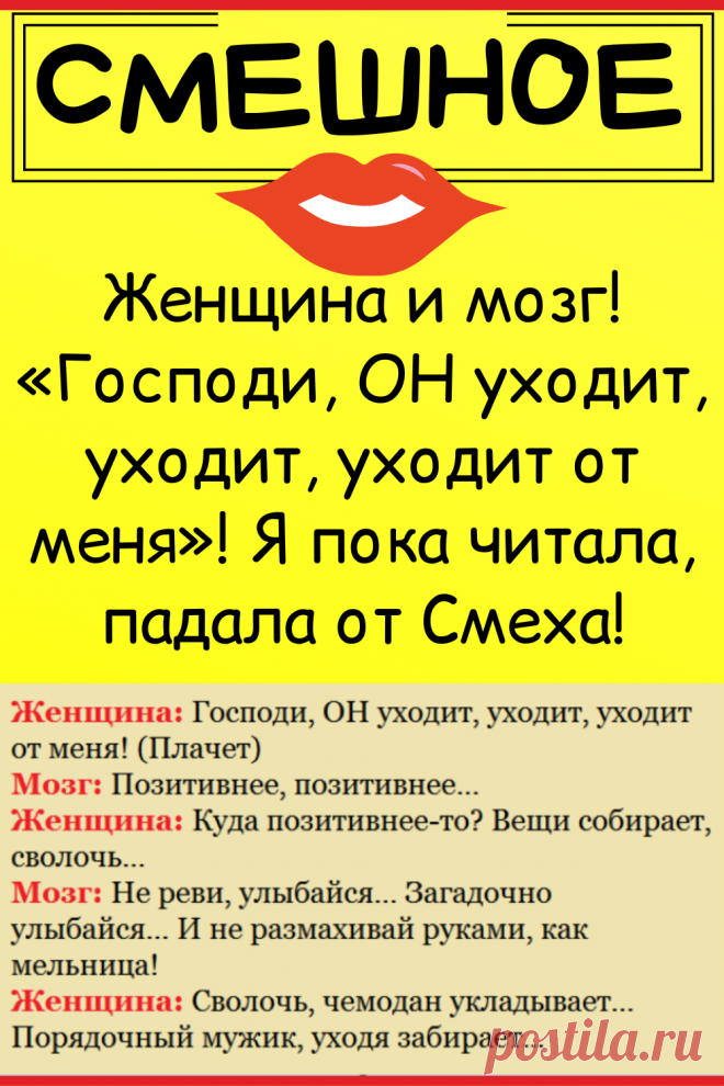 Женщина и мозг! «Господи, ОН уходит, уходит, уходит от меня»! Я пока читала, падала от Смеха!