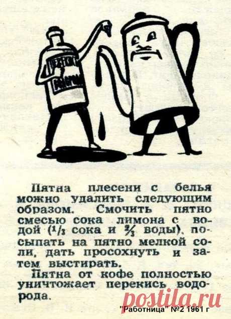 Пятна от плесени и кофе