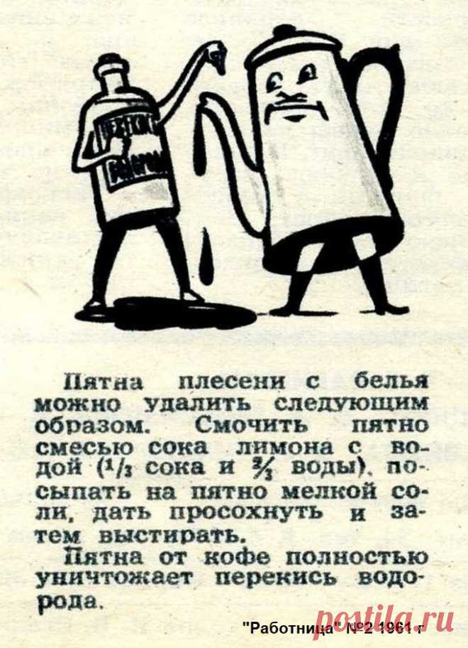 Пятна от плесени и кофе