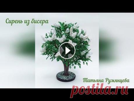 Дерево из бисера. Сирень. Мастер-класс. Высота куста - 38 см., ширина - 35 см. Материал: бисер белого и зеленого оттенков; проволока 0,4 мм. коричневого и стального цвета; проволока 0,9 и 1,...