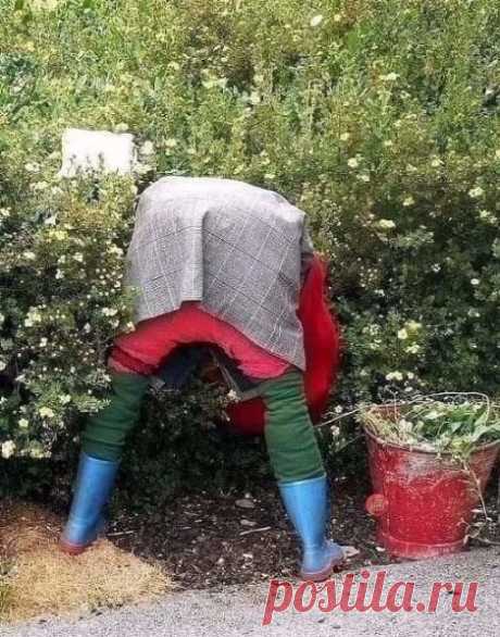 Это ПУГАЛО! 😱 .....Сосед неделю здоровался😂