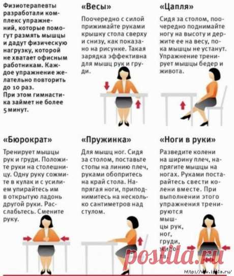 Эффективные упражнения сидя для похудения
