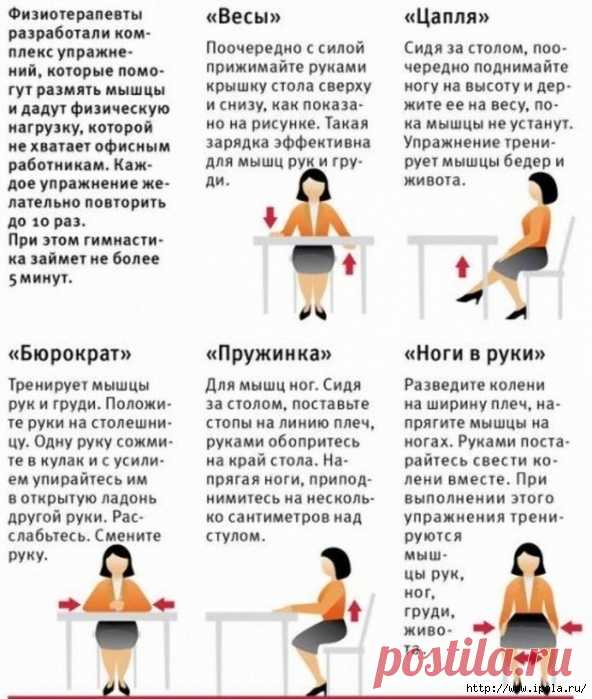 Эффективные упражнения сидя для похудения