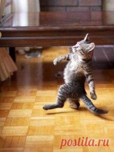 Я иду по комнате словно чумачечий! Потому что я нагадил в тапок человечий! =)