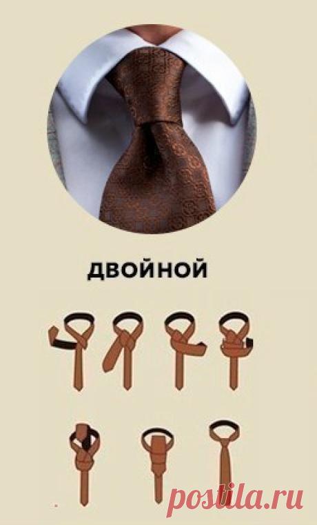 Узлы для галстука
6 вариантов.