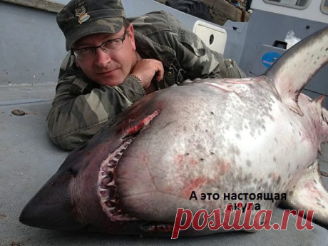 смелый однако...