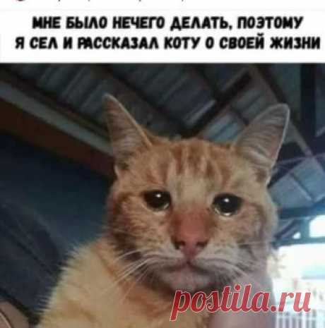 Шикур Шабаев - ДАЖЕ ВОПРОС ТАК НЕ СТОИТ...