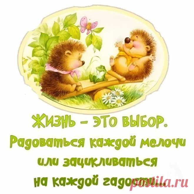 Жизнь - это выбор (открытка 937): Бесплатные картинки &#8226; Otkrytki.Top