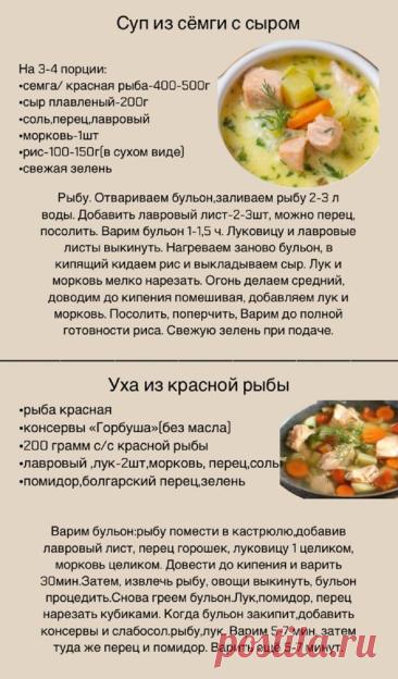Суп из семги с сыром. Уха из красной рыбы
