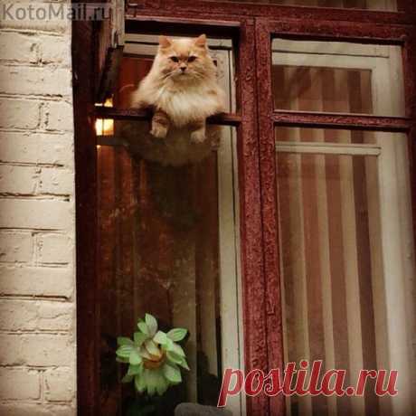 Всем доброе утро!