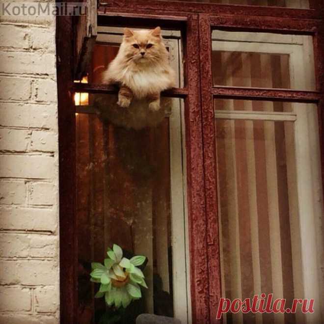 Всем доброе утро!