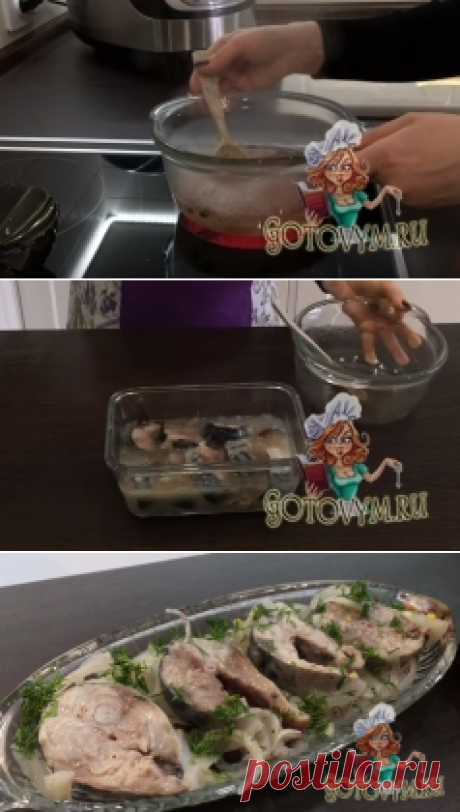 Как вкусно засолить скумбрию