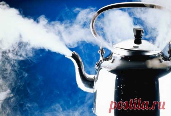 Дипак Чопра: самый простой и эффективный способ очистить организм от токсинов