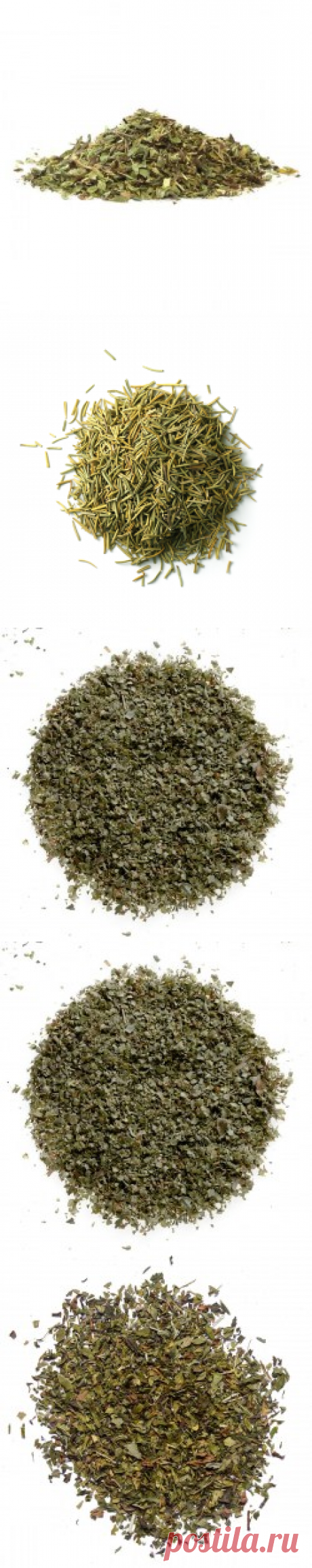 Травы специи купить в Москве | Шеф Орех