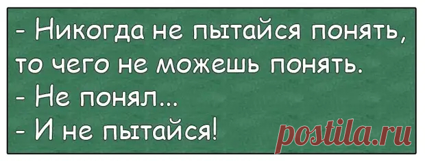 Если нету жизни личной - значит хватит быть приличной! - Приколисты - 31 октября - 43367270464 - Медиаплатформа МирТесен