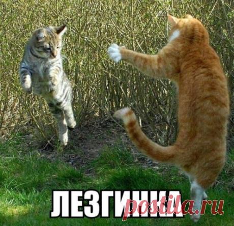 Уроки танцев от лучших преподавателей! )