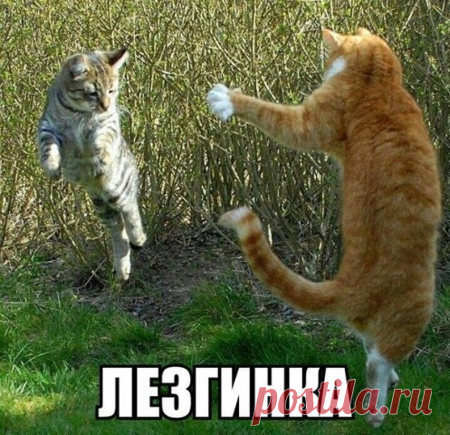 Уроки танцев от лучших преподавателей! )