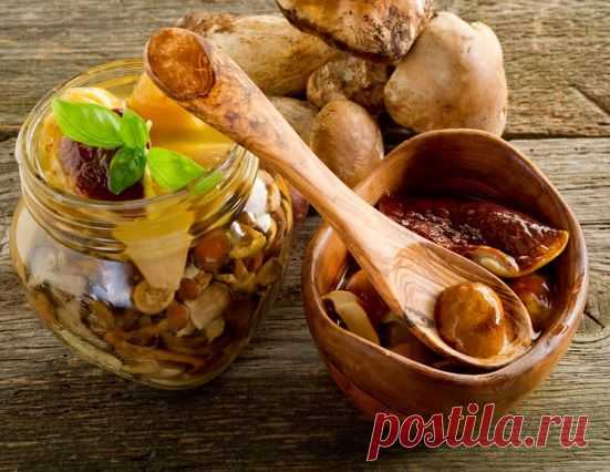 ГРИБЫ | Записи в рубрике ГРИБЫ | Дневник lalimur (Марина Манукова)