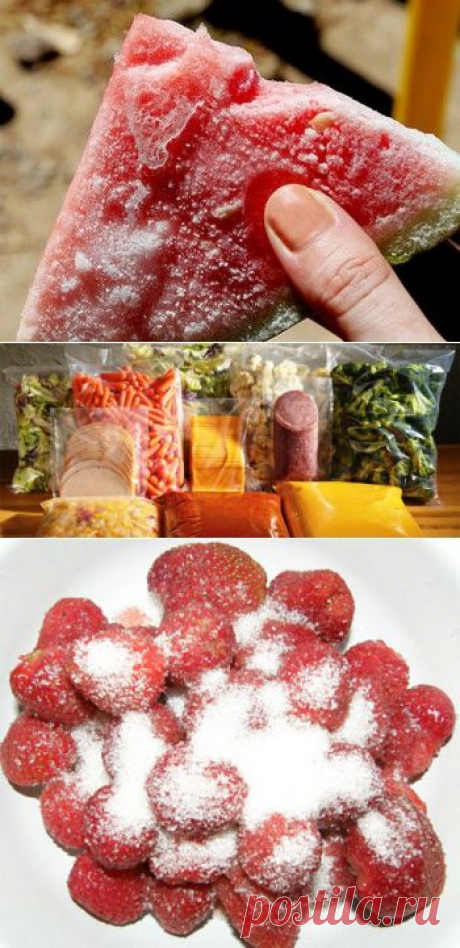 Знаток по замораживанию продуктов
