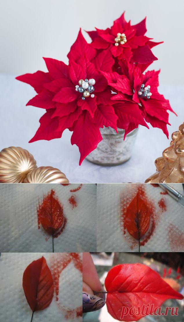 Пуансеттия. Идеи и мастер-класс по лепке рождественской звезды