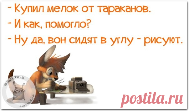 Правда Жизни | Юмор, Мотивация, Сарказм, Цитаты