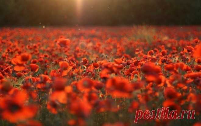 ᴼᴿᴵᴳᴵᴺᴬᴸ   SМАЙЛИКИ   (ړײ)
ღМилана ღ