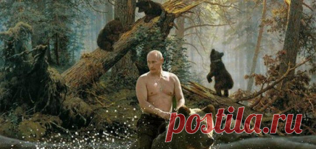 Это наш медведь...