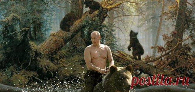 Это наш медведь...