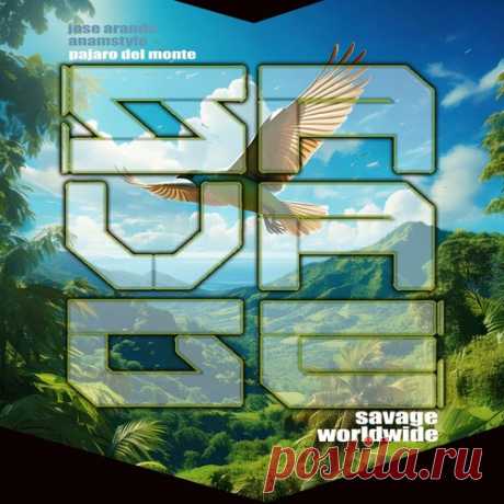 Jose Aranda, AnAmStyle - Pajaro Del Monte free download mp3 music 320kbps