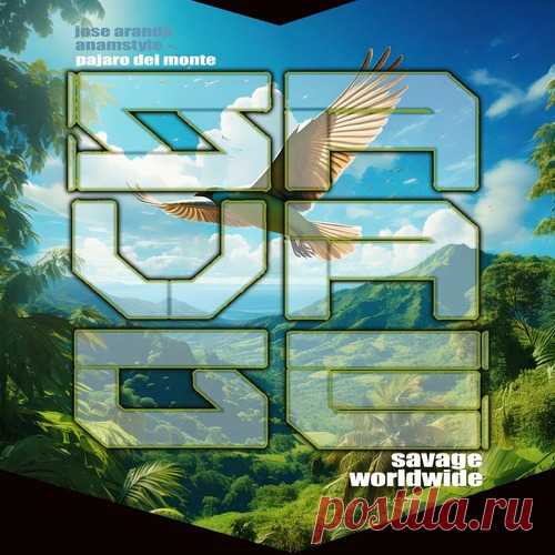 Jose Aranda, AnAmStyle - Pajaro Del Monte free download mp3 music 320kbps