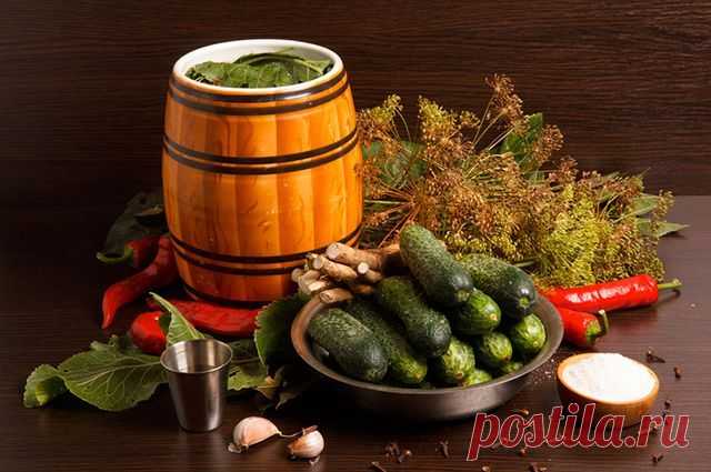 Солим, маринуем. Три рецепта консервированных огурцов от профессионала