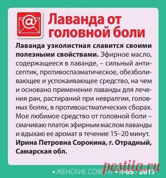 Лаванда от головной боли