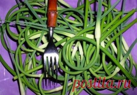 Стебли чеснока при насморке