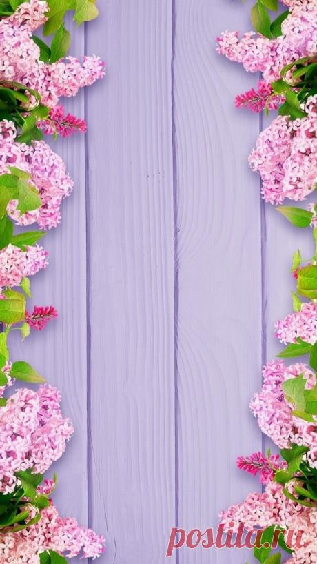 Fondo flores, flowers background