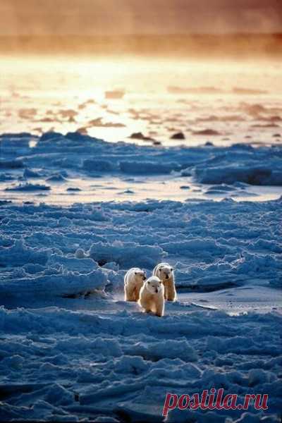 (2) Beautiful World