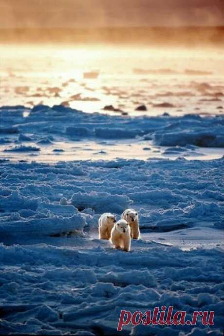 (2) Beautiful World