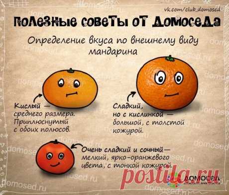 полезные советы на все случаи жизни: 14 тыс изображений найдено в Яндекс.Картинках