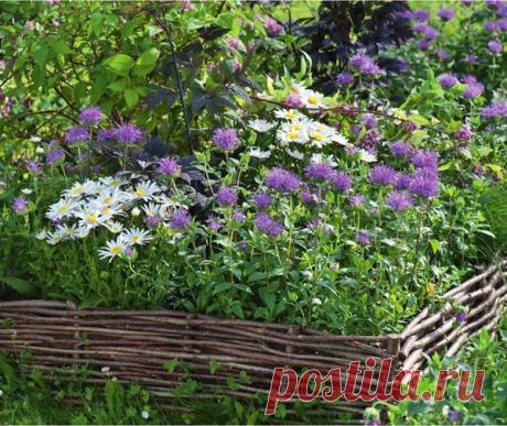 Бордюры из разных материалов для клумб — 6 соток