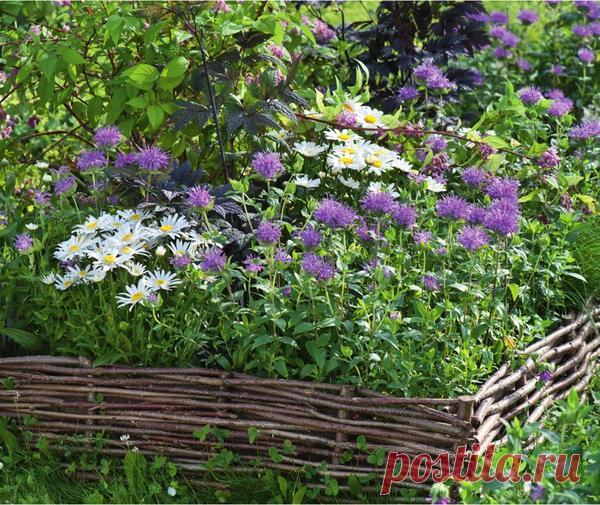 Бордюры из разных материалов для клумб — 6 соток