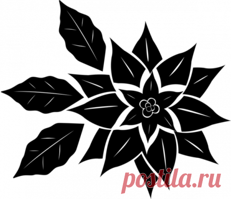 Цветы: шаблоны и трафареты для вырезания | 33 Поделки | Яндекс Дзен