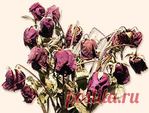 Любовь к традициям и консерватизм присущи жителям нашей страны. Это хорошо, когда речь идет об общественной морали, патриотизме, шедеврах литературы, музыки и живописи и других нестареющих абсолютных ценностях. Но плохо, когда место традиции занимает нездоровый фетишизм – оторванная от реальности привязанность к тому, что давным-давно себя изжило. Увы, но во многих областях российской жизни это происходит, мешая здоровому развитию и новым достижениям. Об этом моя поучительная басня в стихах.