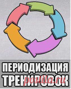 ПЕРИОДИЗАЦИЯ ТРЕНИРОВОК / Спорт Сильных!