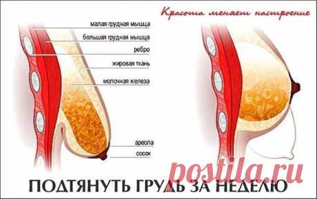 Азбука Домоводства. Хозяйкам, мамам и женам!