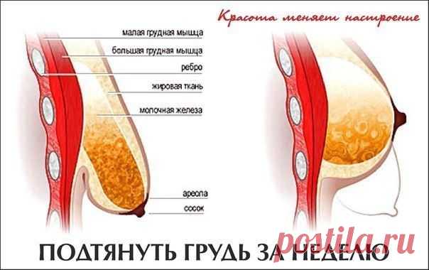 Азбука Домоводства. Хозяйкам, мамам и женам!