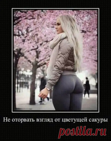 Настоящий питерский интеллигент никогда не скажет, ты — говнюк. Он скажет, непотопляемый Вы человечище - РЖАКА - 3 октября - 43492143381 - Медиаплатформа МирТесен